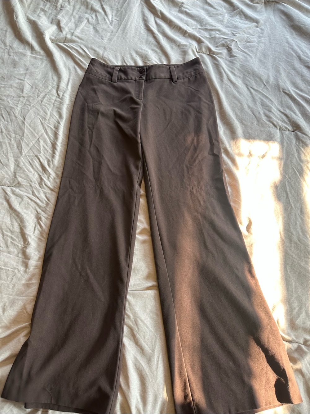 tba Brown Boot Cut & Flare Dress Pants